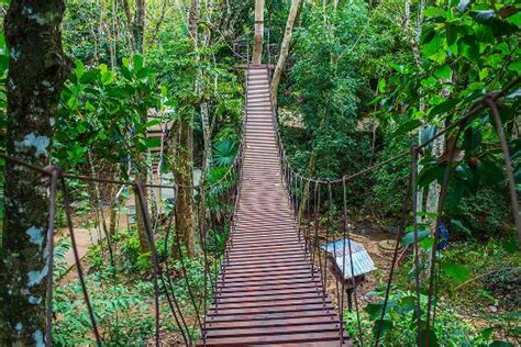 fuyot spring national park